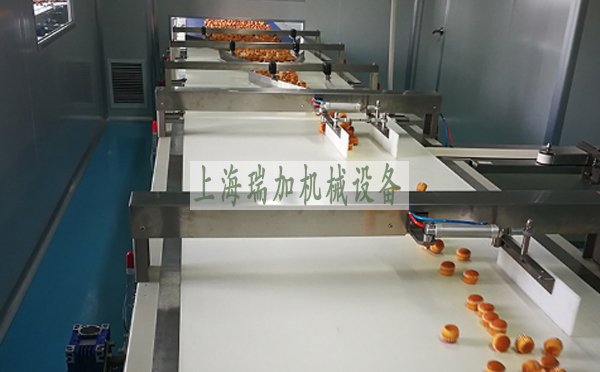 皮带输送机使用寿命一般有多长，如何延长使用